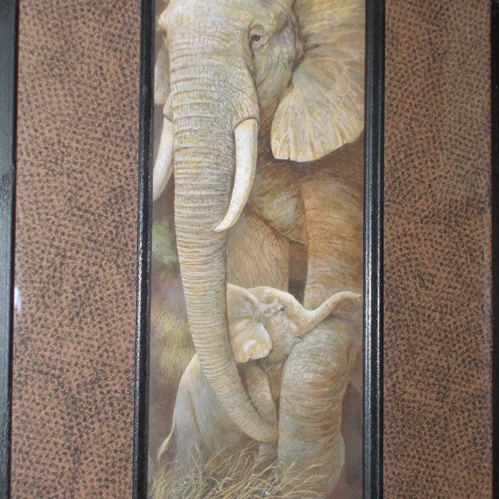 Elephant print matted & framed.